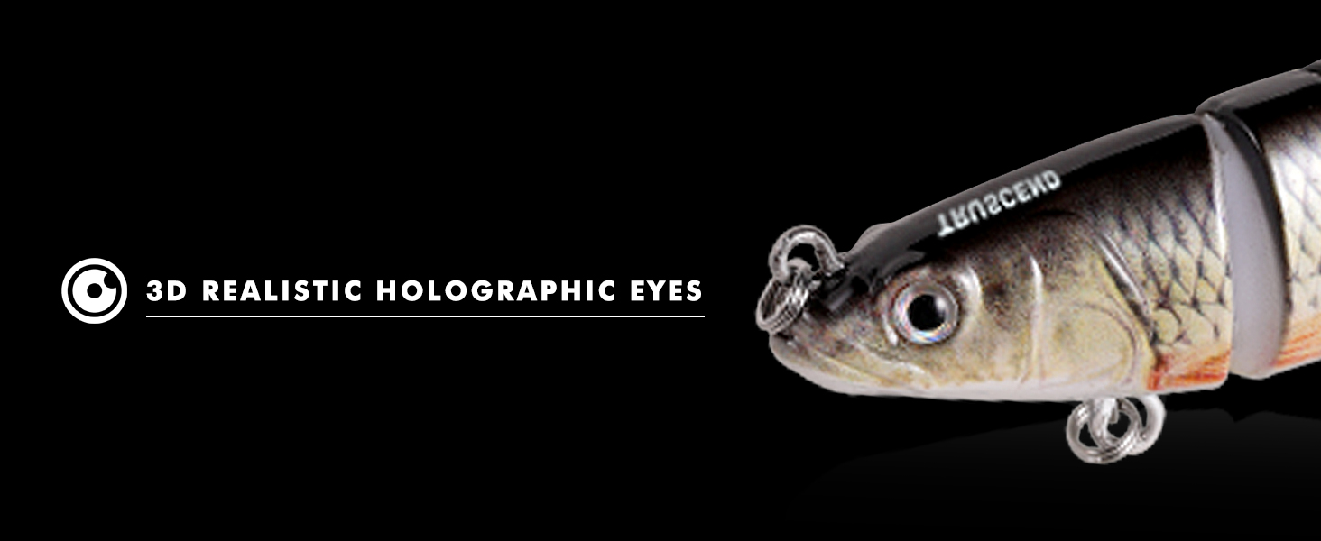TRUSCEND Fishing Lures for Freshwater and Saltwater. Lifelike Swimbait for Bass Trout Crappie. Slow Sinking Bass Fishing Lure. Amazing Fishing Gifts for men. Must-have for Family Fishing Gear